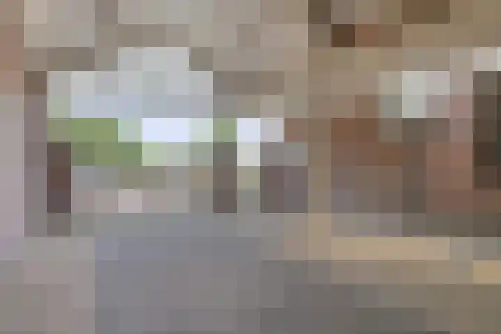 Bernadettelaan 14 Tienray thumbnail 37