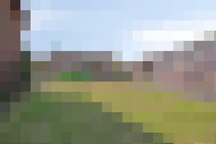 Bernadettelaan 14 Tienray thumbnail 48