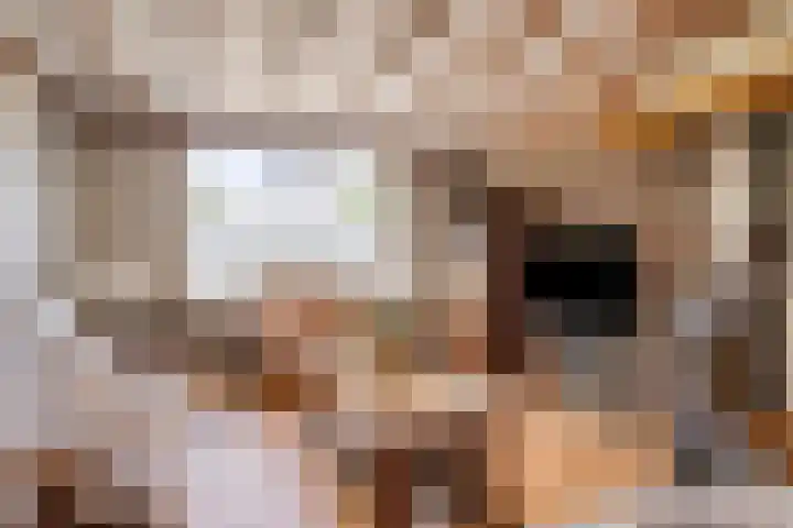 Bernadettelaan 14 Tienray thumbnail 7