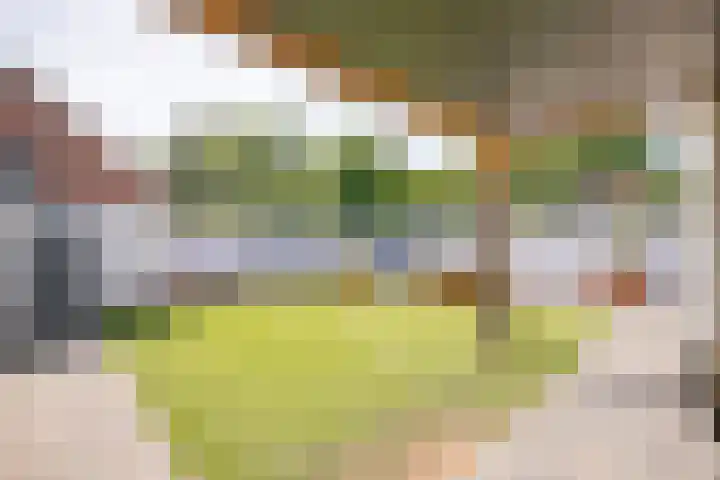 Bernadettelaan 2 Landgraaf thumbnail 21