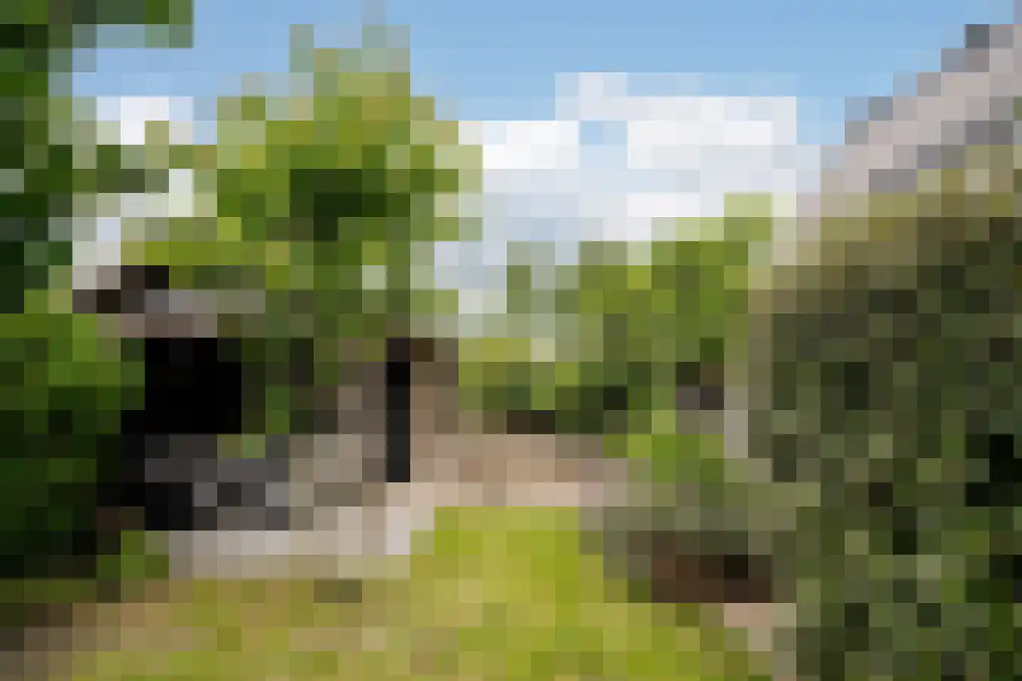 Bernadettelaan 23 Noordwijkerhout thumbnail 16