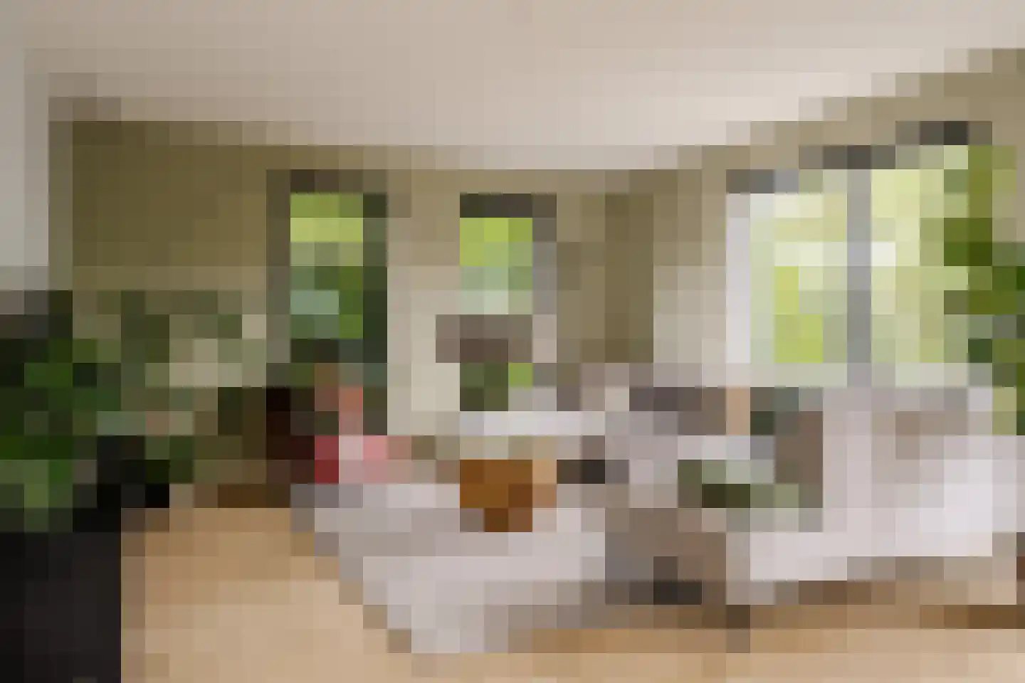 Bernadettelaan 23 Noordwijkerhout thumbnail 6