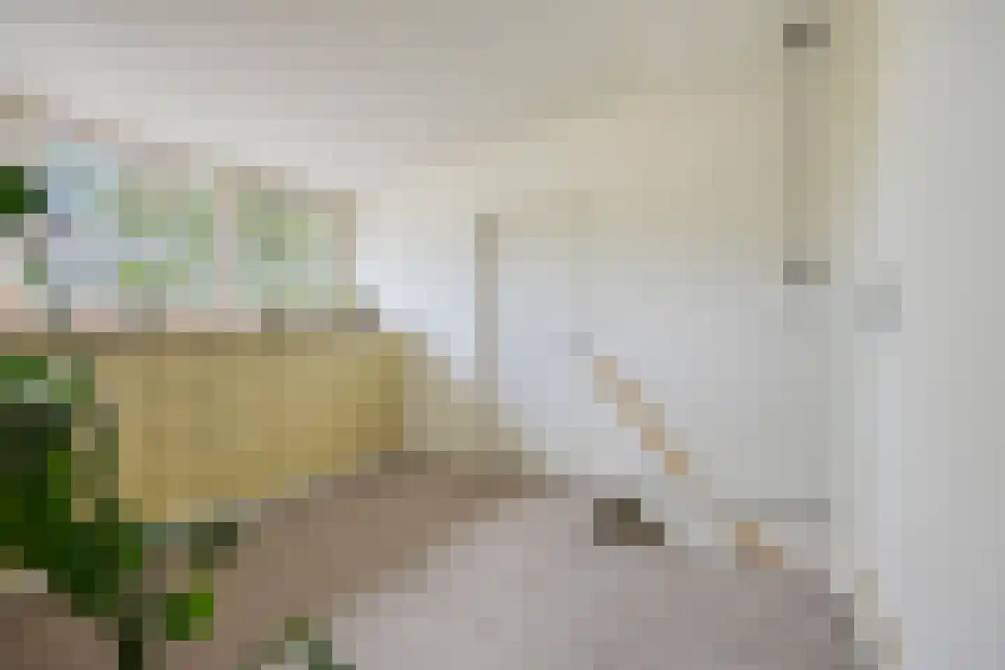 Bernadettestraat 20 Mariahout thumbnail 30