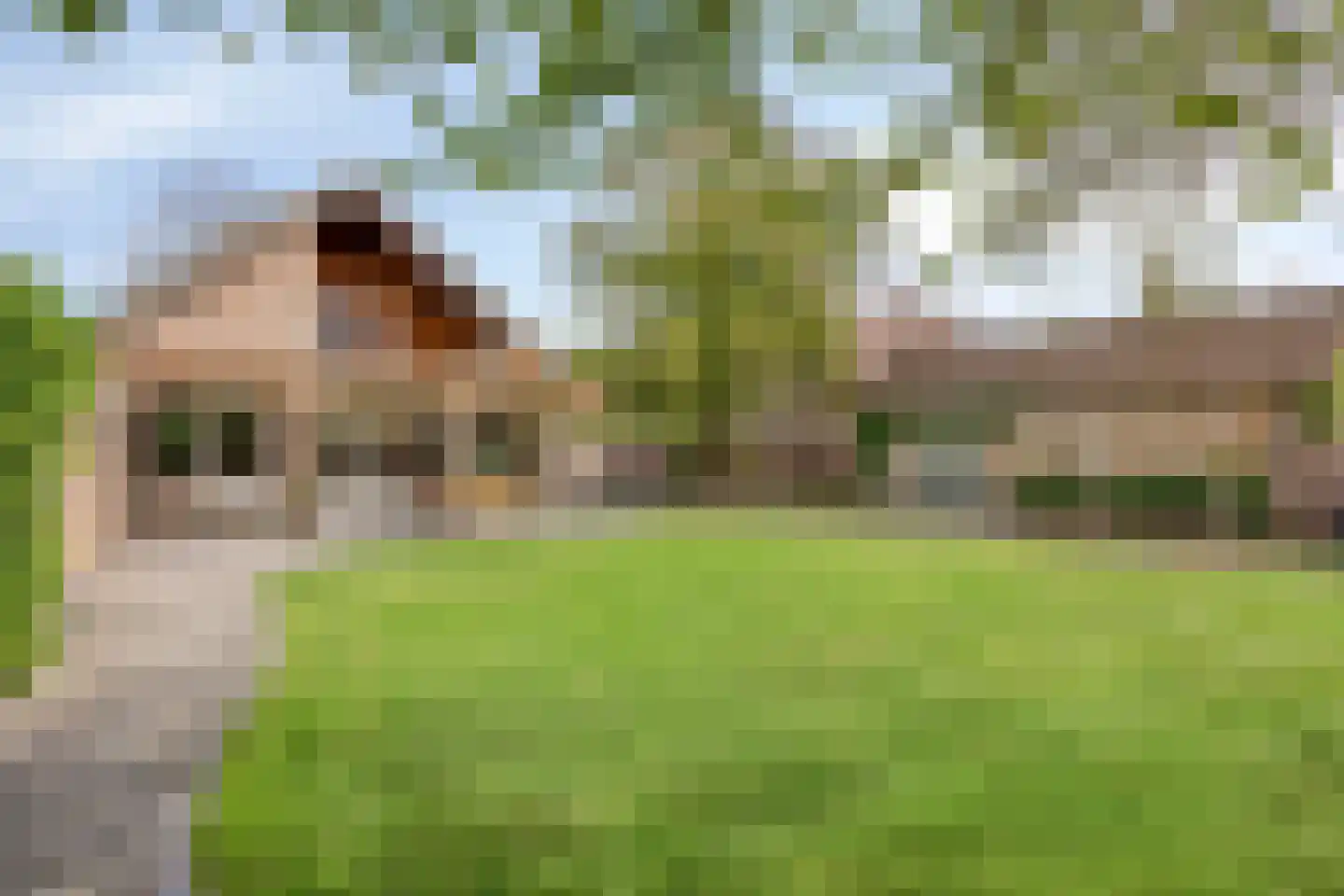 Bernadettestraat 20 Mariahout thumbnail 51
