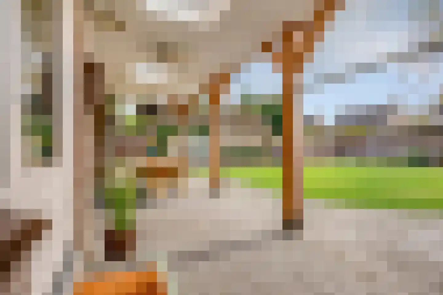 Bernadettestraat 20 Mariahout thumbnail 52