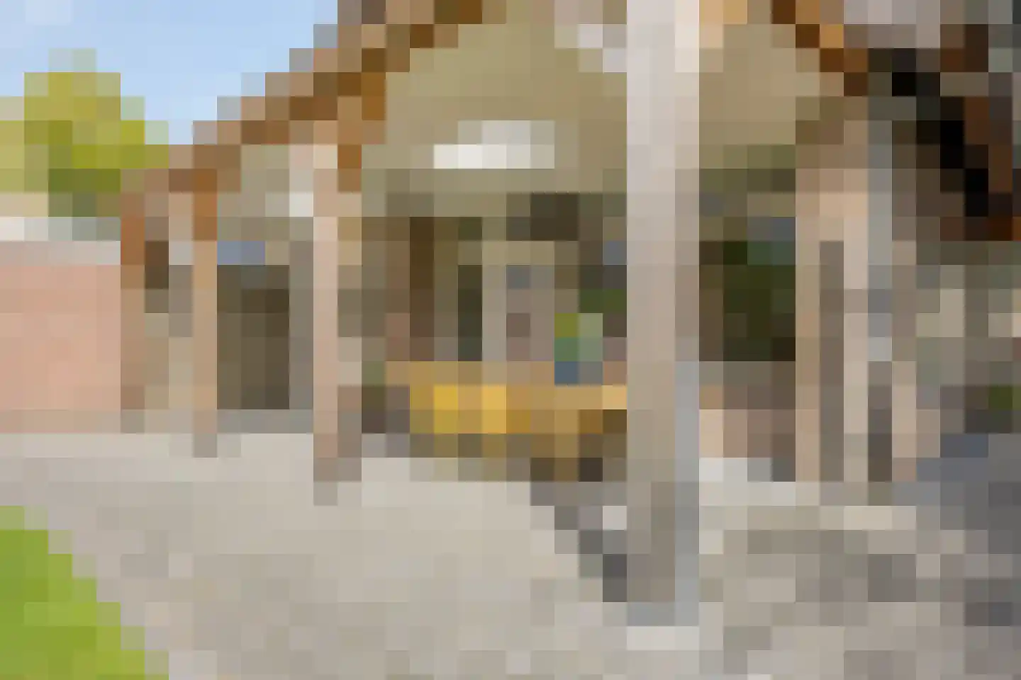 Bernadettestraat 20 Mariahout thumbnail 54