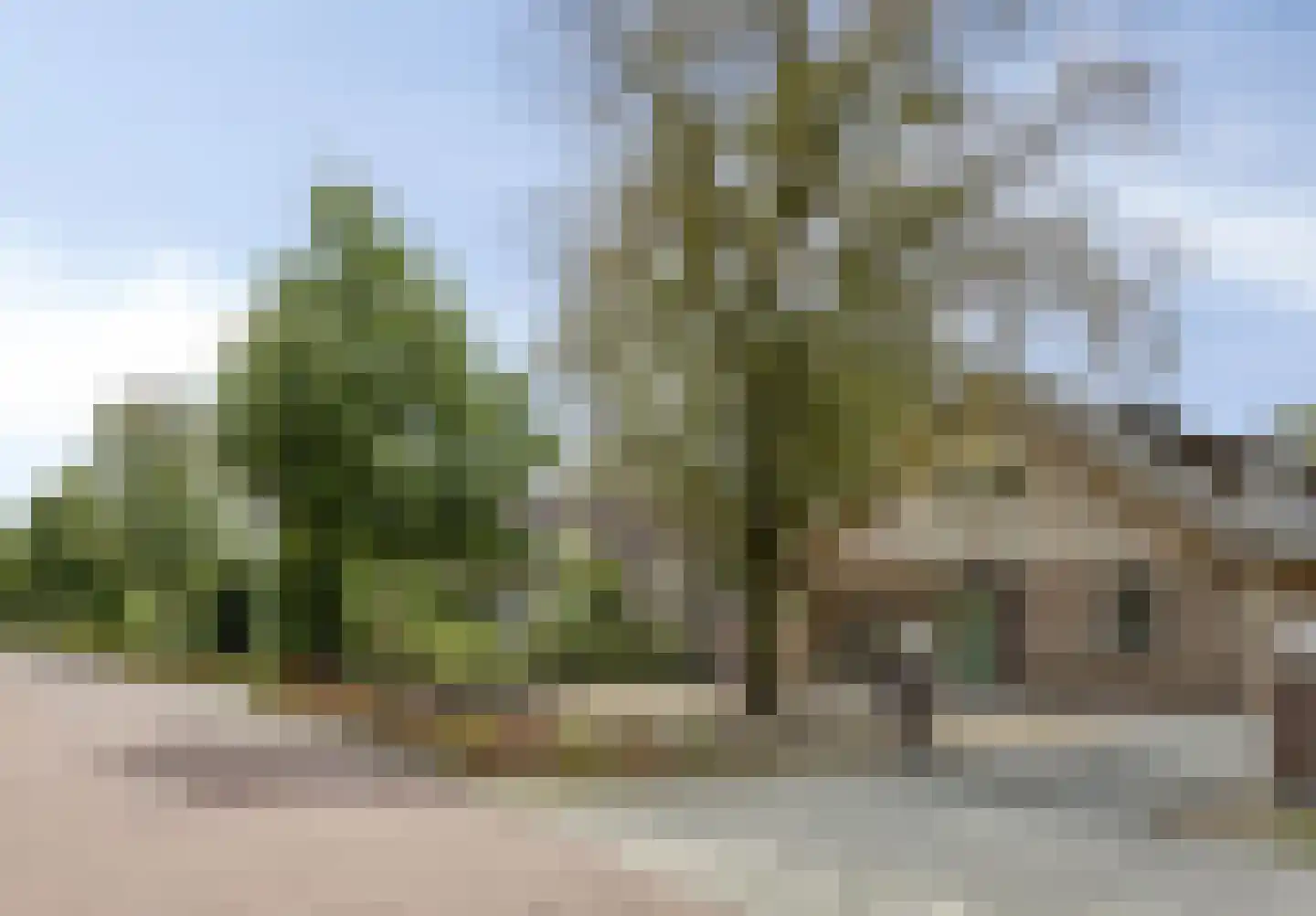 Bernadettestraat 20 Mariahout thumbnail 65