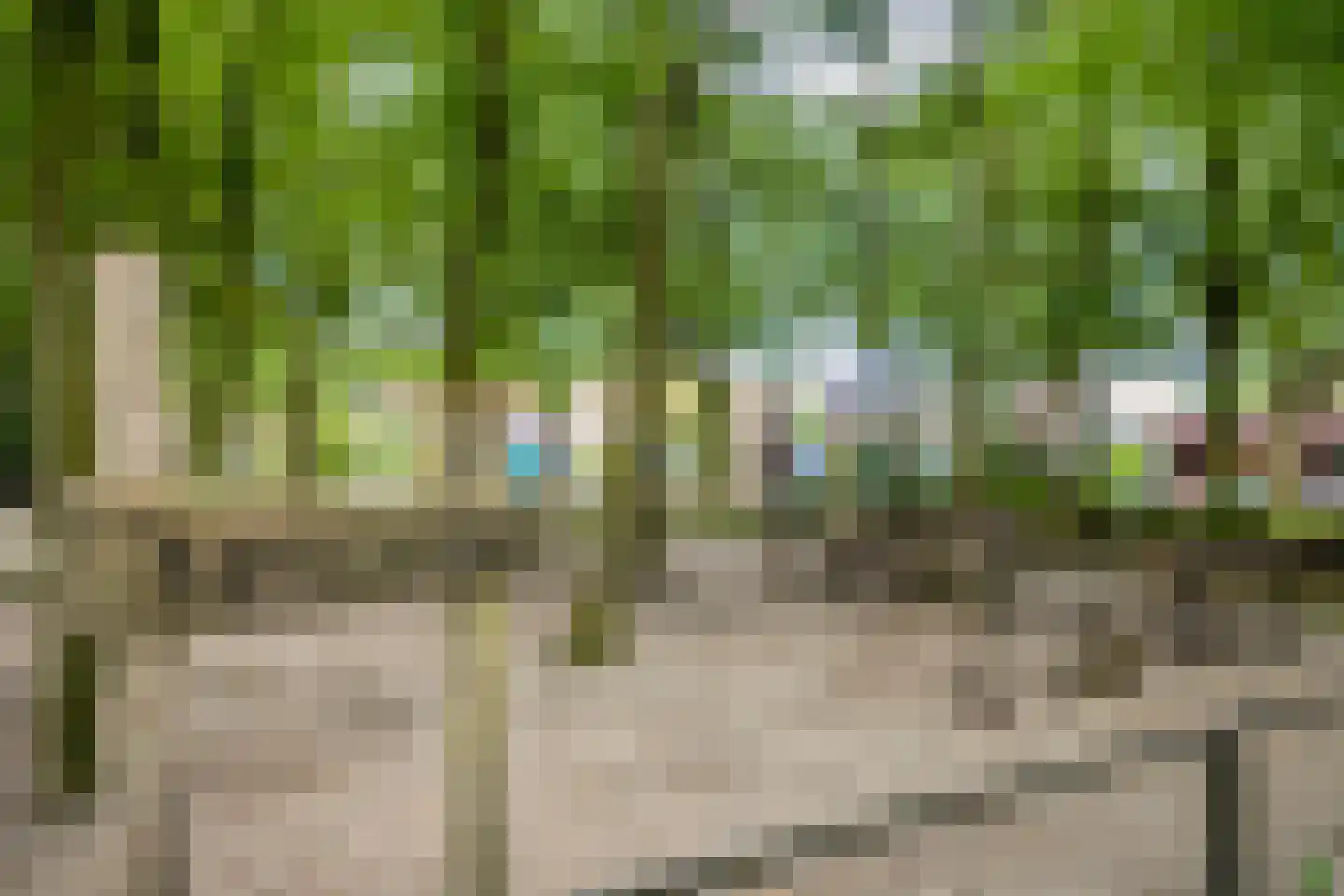 Bernadettestraat 27 Rosmalen thumbnail 30