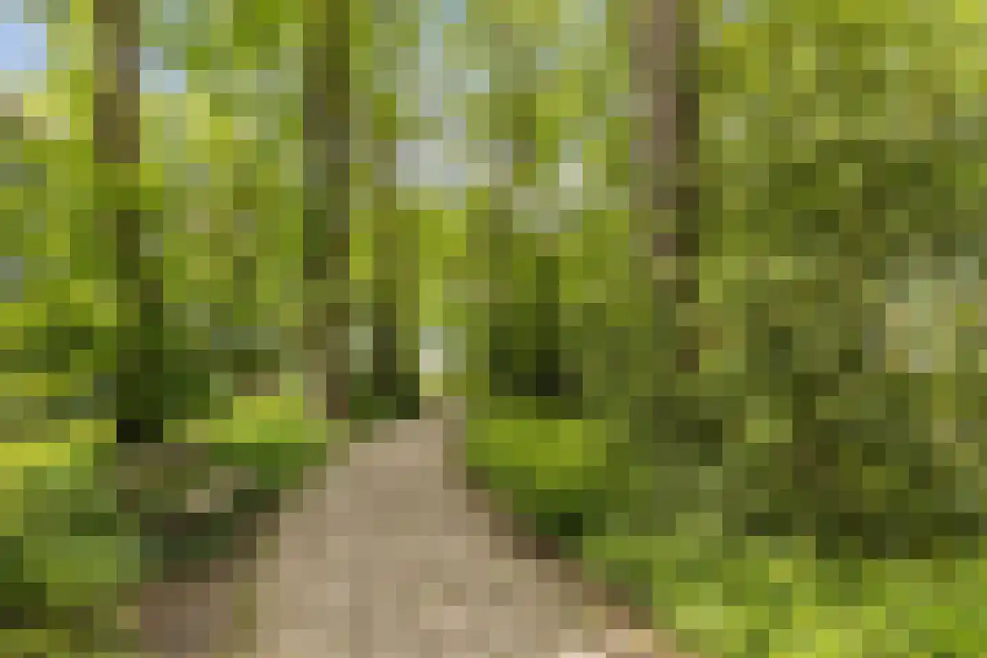 Bernadettestraat 6 Rijen thumbnail 36