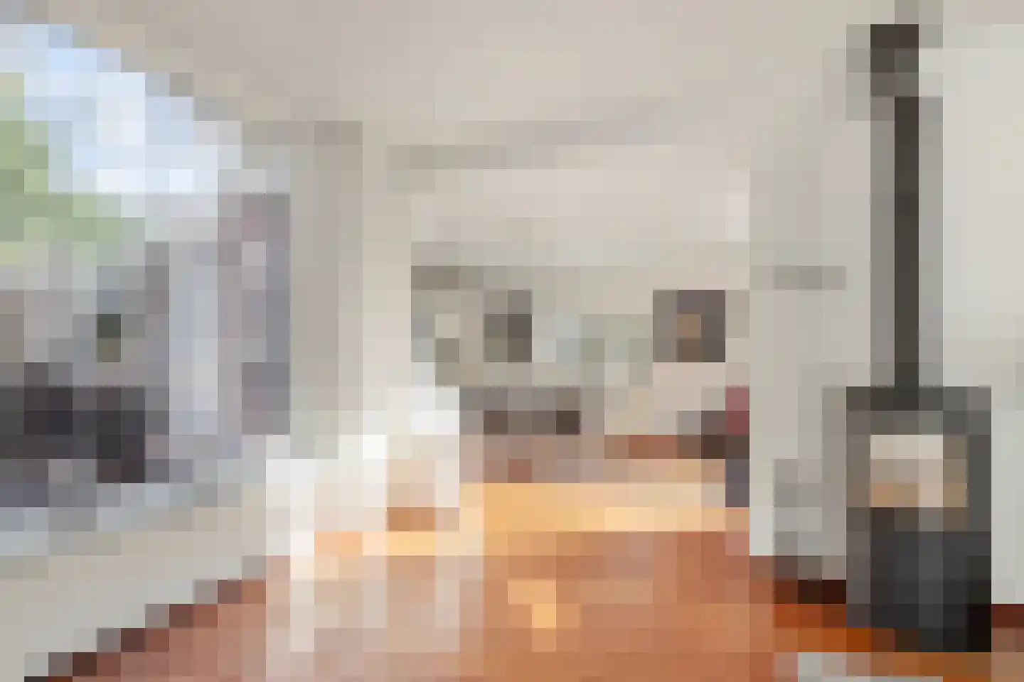 Bernadottelaan 12 Doorwerth thumbnail 13