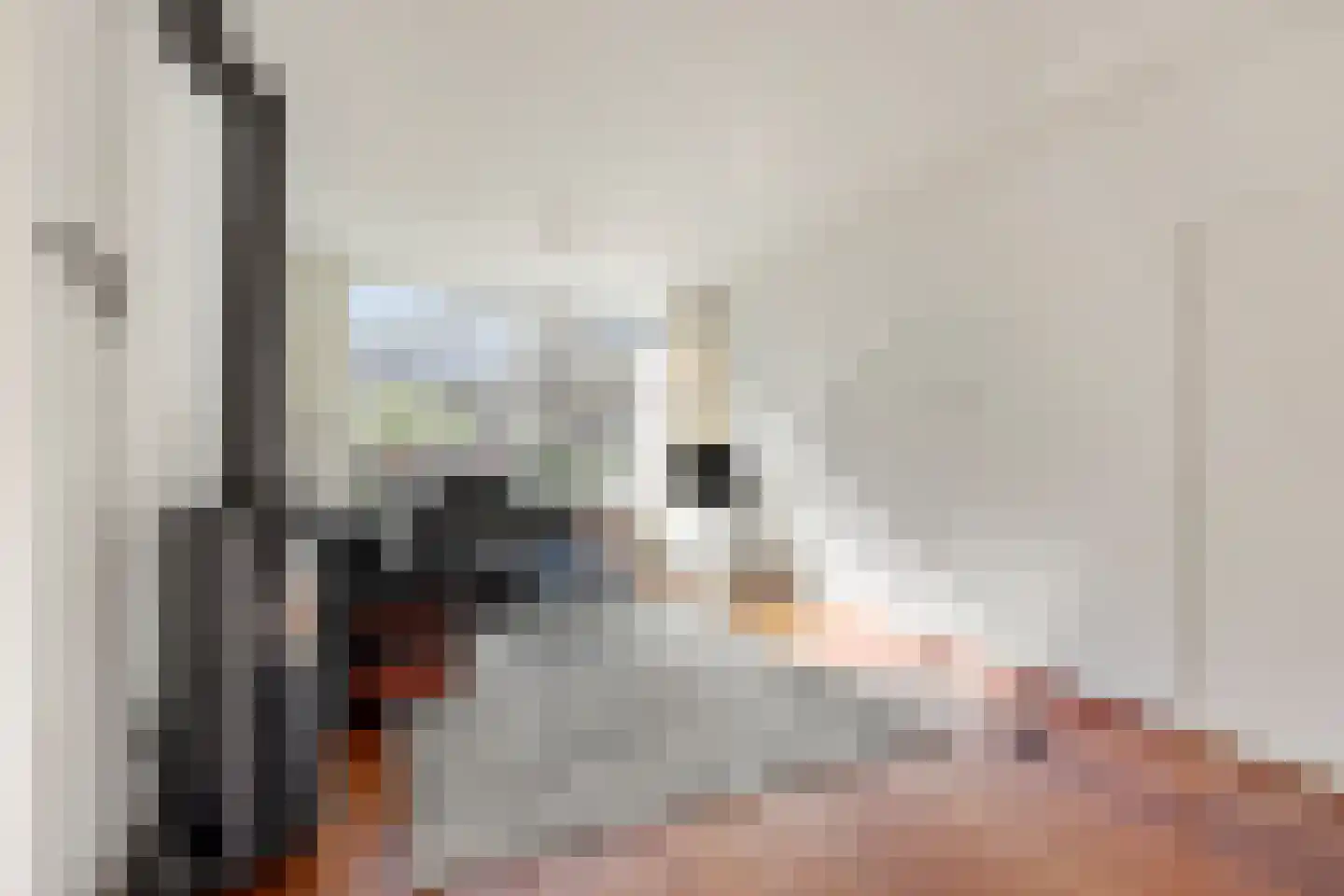 Bernadottelaan 12 Doorwerth thumbnail 19
