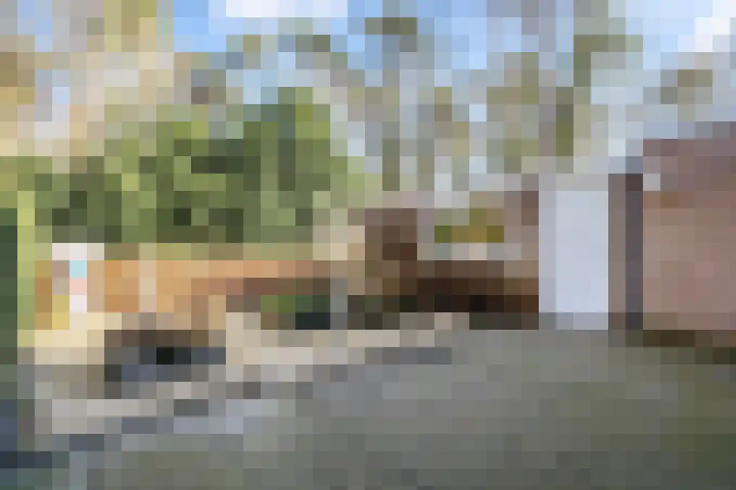 Bernadottelaan 12 Doorwerth thumbnail 22