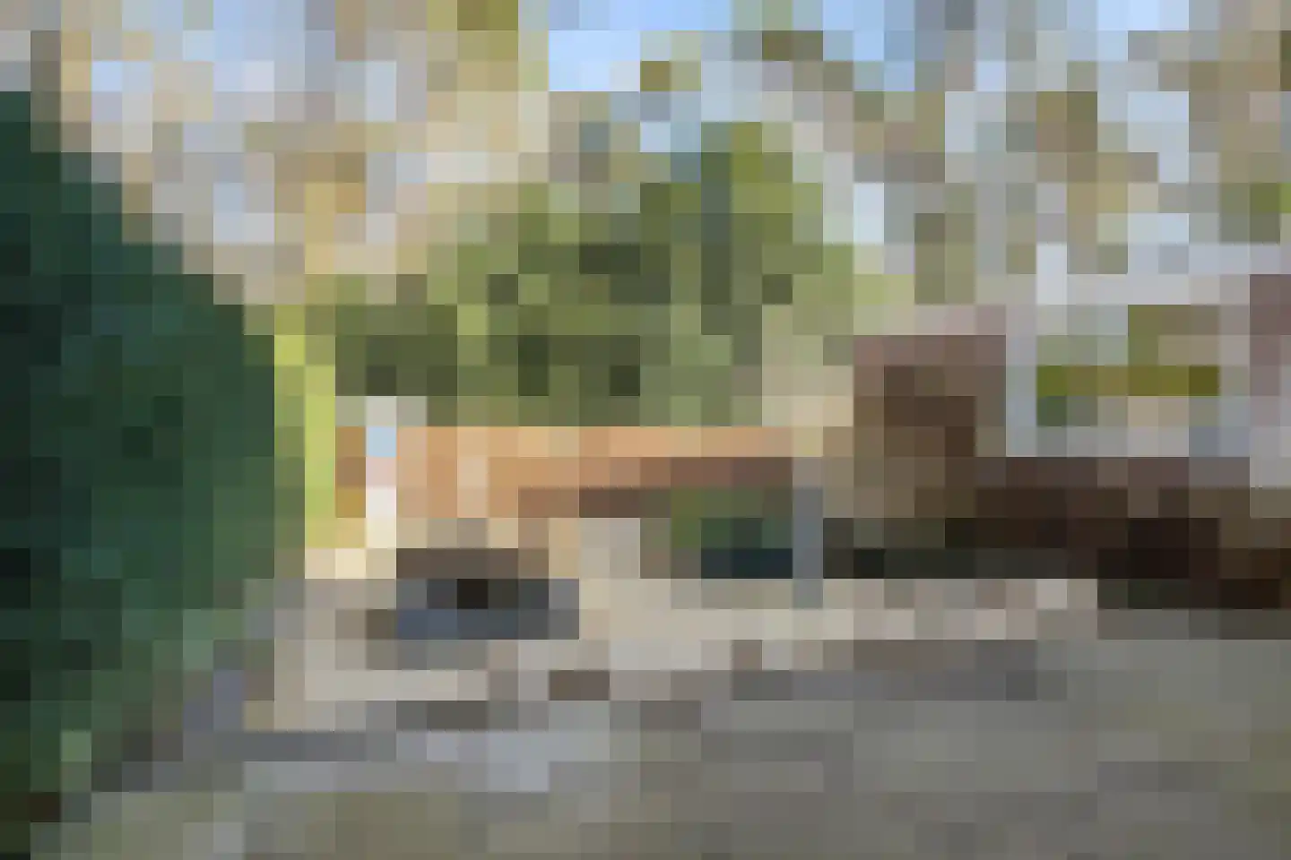 Bernadottelaan 12 Doorwerth thumbnail 23