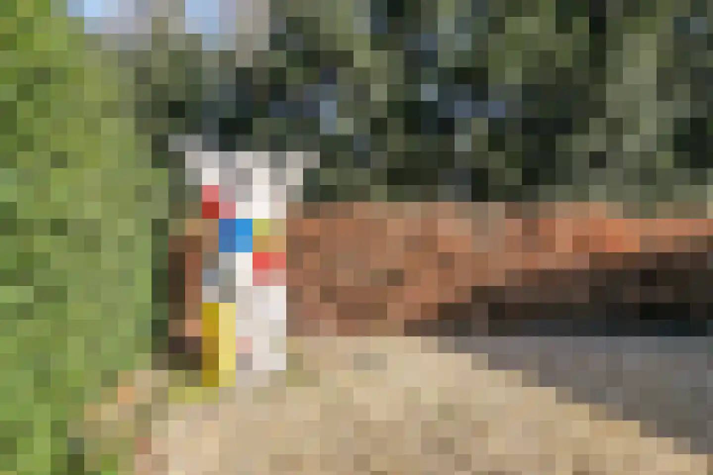 Bernadottelaan 12 Doorwerth thumbnail 24