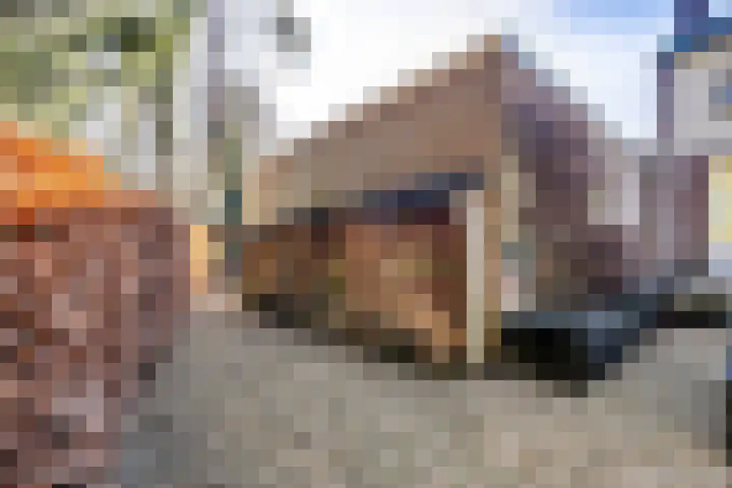Bernadottelaan 12 Doorwerth thumbnail 26