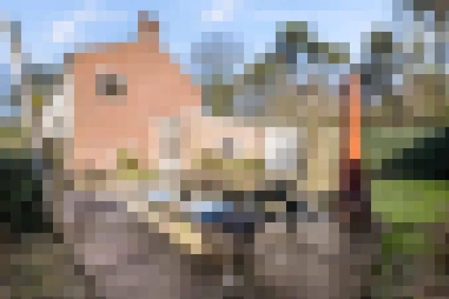 Bernadottelaan 12 Doorwerth thumbnail 28