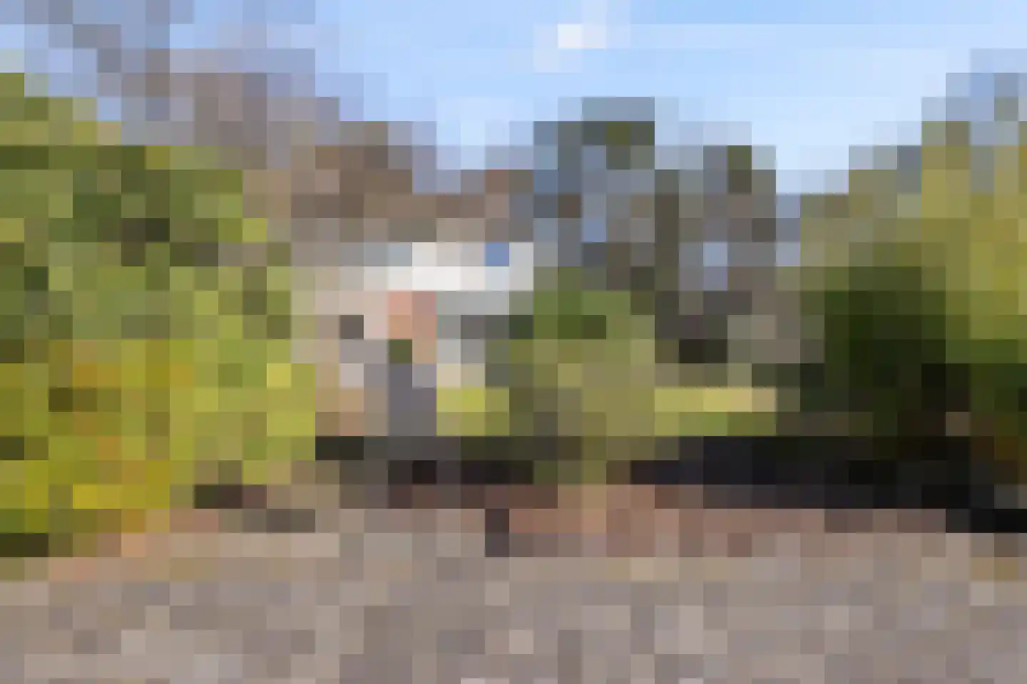 Bernadottelaan 12 Doorwerth thumbnail 5