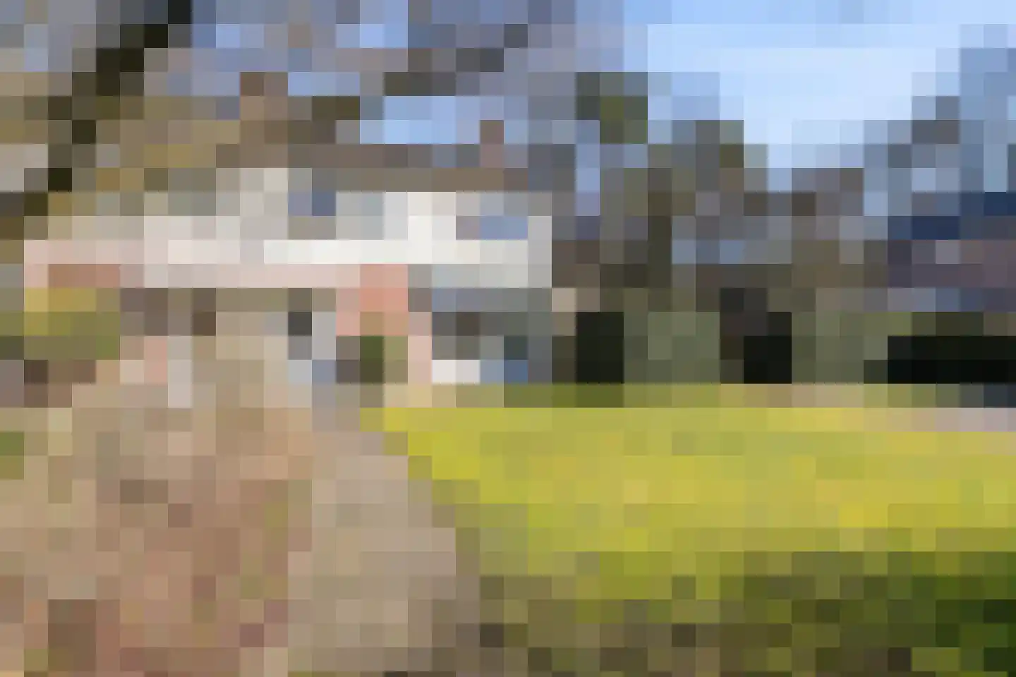 Bernadottelaan 12 Doorwerth thumbnail 6