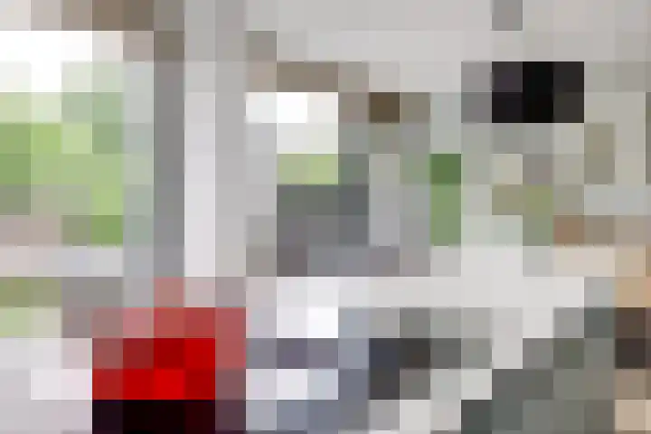 Bernadottelaan 204 Utrecht thumbnail 20
