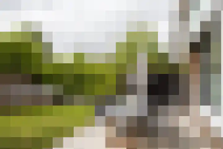 Bernadottelaan 204 Utrecht thumbnail 22