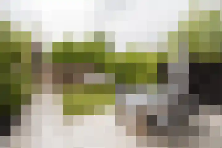 Bernadottelaan 204 Utrecht thumbnail 23