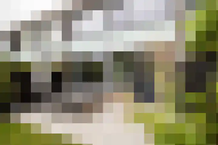 Bernadottelaan 204 Utrecht thumbnail 24