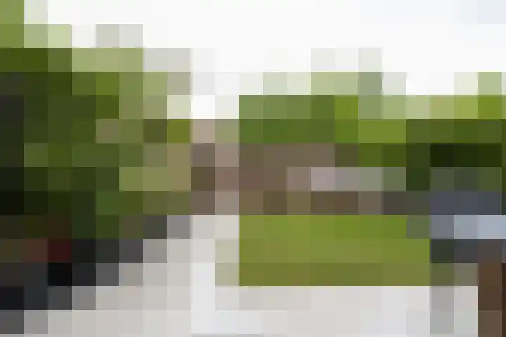 Bernadottelaan 204 Utrecht thumbnail 25