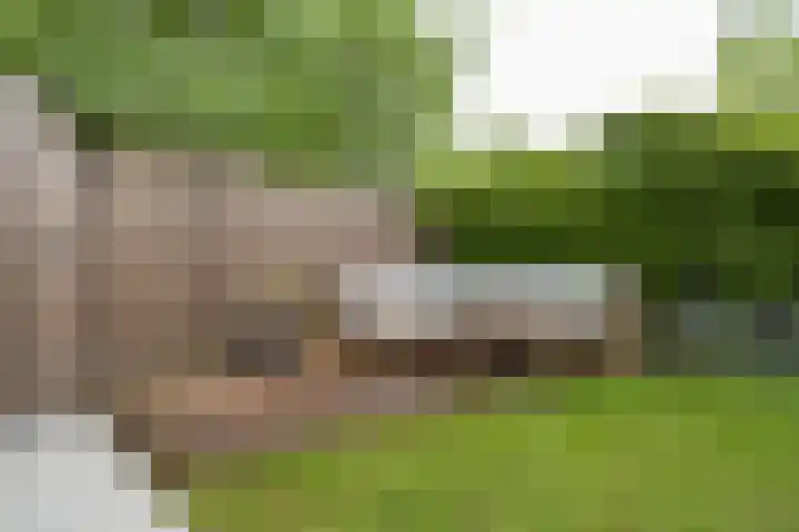 Bernadottelaan 204 Utrecht thumbnail 28