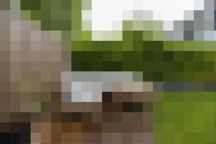 Bernadottelaan 204 Utrecht thumbnail 29