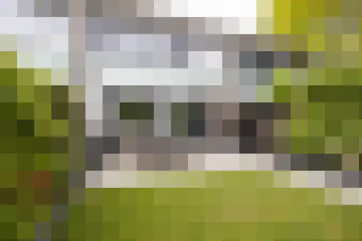 Bernadottelaan 204 Utrecht thumbnail 30