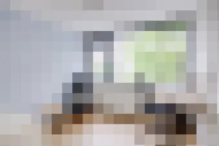 Bernadottelaan 204 Utrecht thumbnail 36