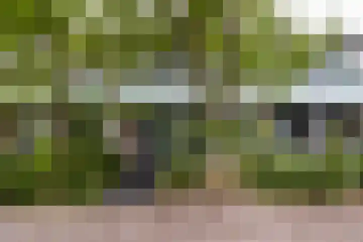 Bernadottelaan 204 Utrecht thumbnail 4