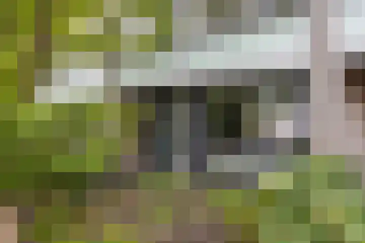 Bernadottelaan 204 Utrecht thumbnail 44
