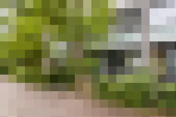 Bernadottelaan 204 Utrecht thumbnail 45