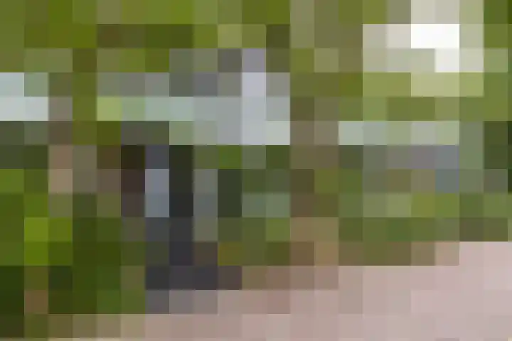 Bernadottelaan 204 Utrecht thumbnail 59
