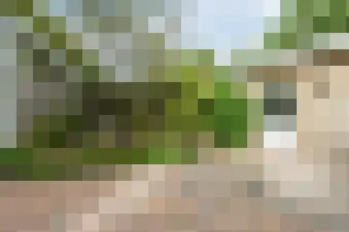 Bernadottelaan 221 Haarlem thumbnail 35