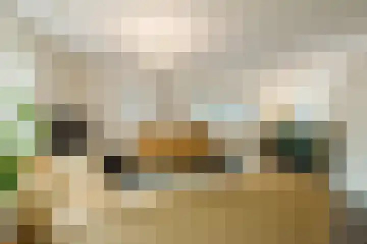 Bernadottelaan 221 Haarlem thumbnail 8