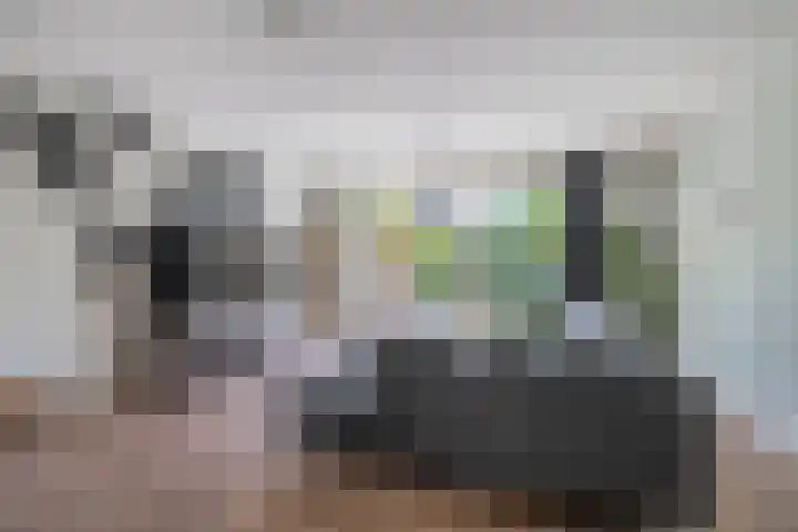 Bernadottelaan 222 Utrecht thumbnail 10