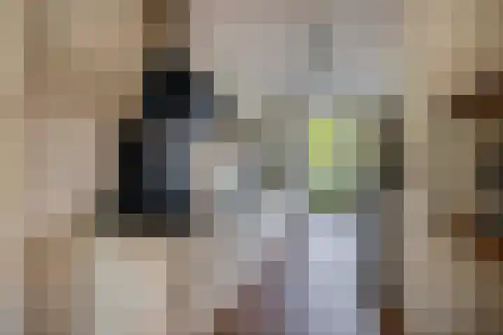 Bernadottelaan 222 Utrecht thumbnail 12