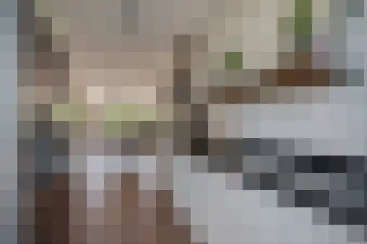 Bernadottelaan 222 Utrecht thumbnail 15