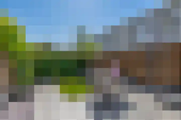 Bernadottelaan 222 Utrecht thumbnail 21