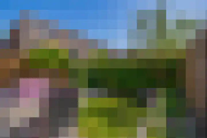 Bernadottelaan 222 Utrecht thumbnail 22