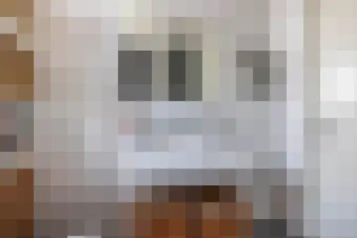Bernadottelaan 222 Utrecht thumbnail 30