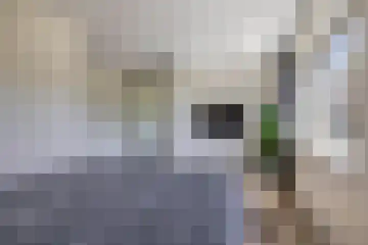 Bernadottelaan 222 Utrecht thumbnail 32