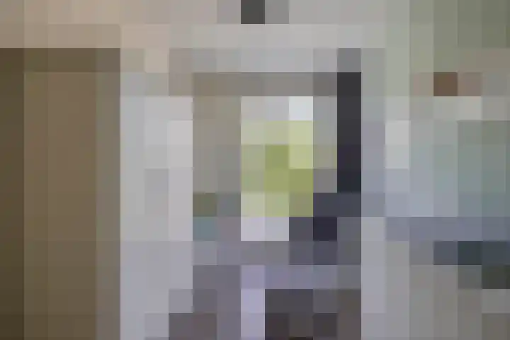 Bernadottelaan 222 Utrecht thumbnail 37