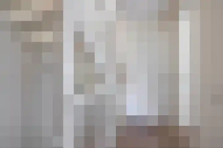 Bernadottelaan 222 Utrecht thumbnail 38