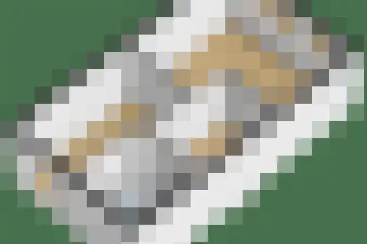 Bernadottelaan 222 Utrecht thumbnail 54