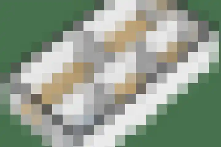 Bernadottelaan 222 Utrecht thumbnail 56