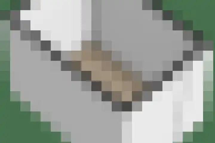 Bernadottelaan 222 Utrecht thumbnail 60