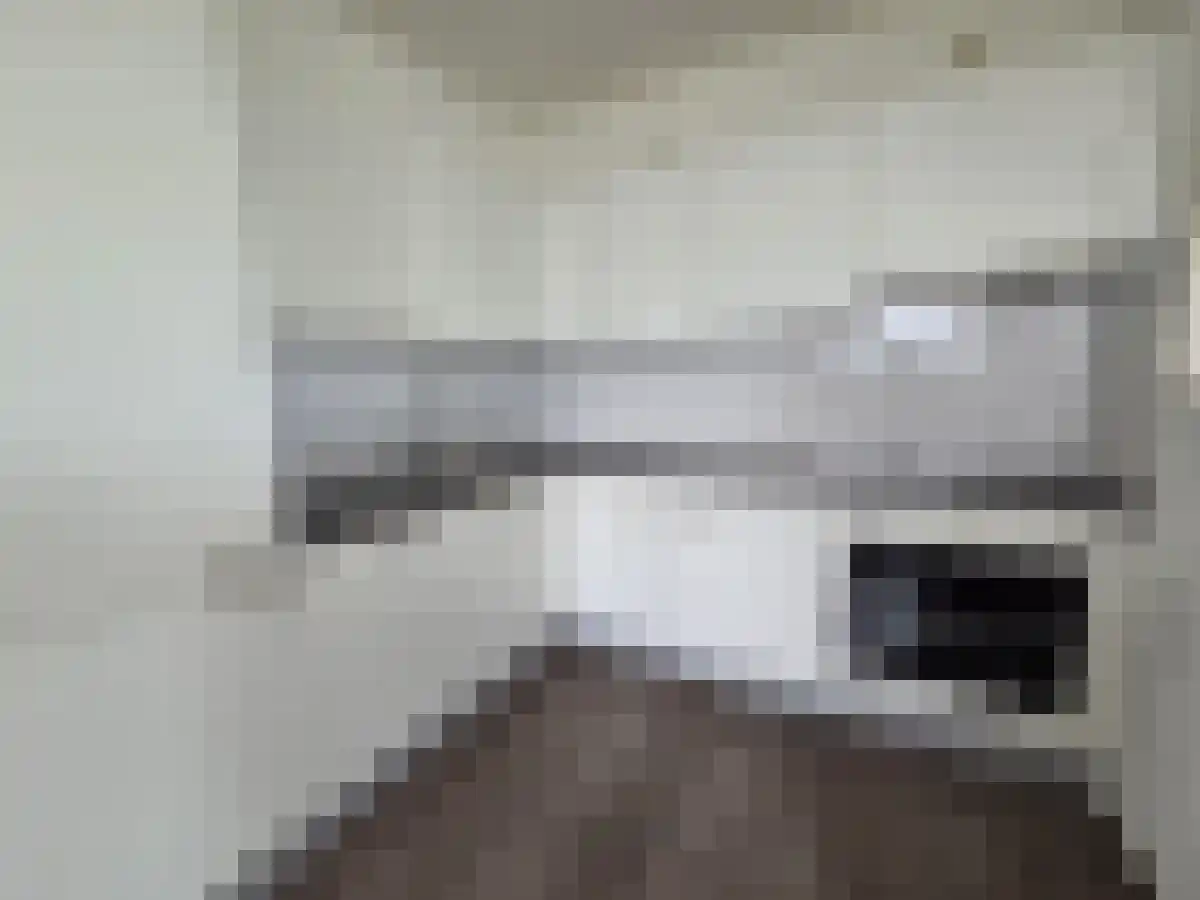 Bernadottelaan 58 Utrecht thumbnail 6
